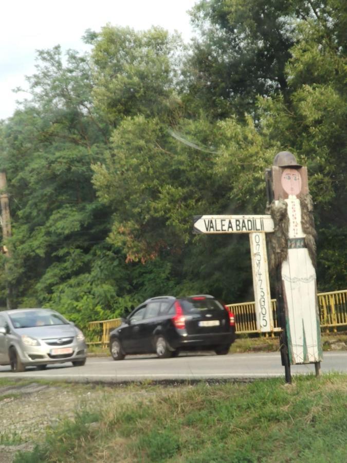 Pensiunea Valea Badilii Valea Iasului Exterior photo