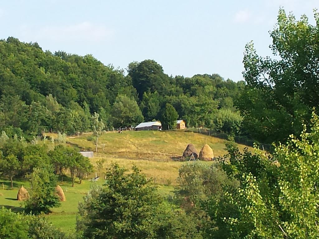 Pensiunea Valea Badilii Valea Iasului Exterior photo