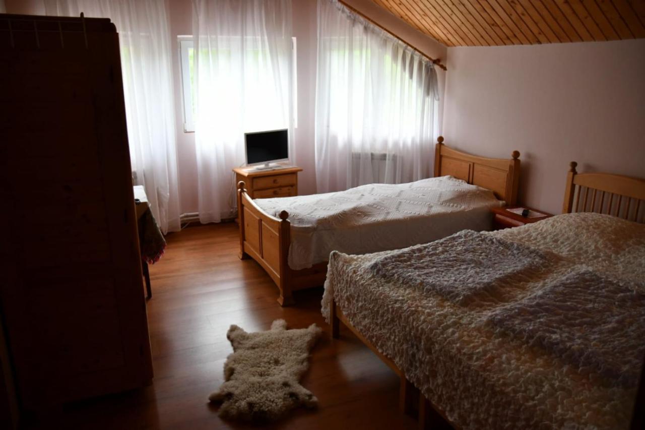 Pensiunea Valea Badilii Valea Iasului Exterior photo
