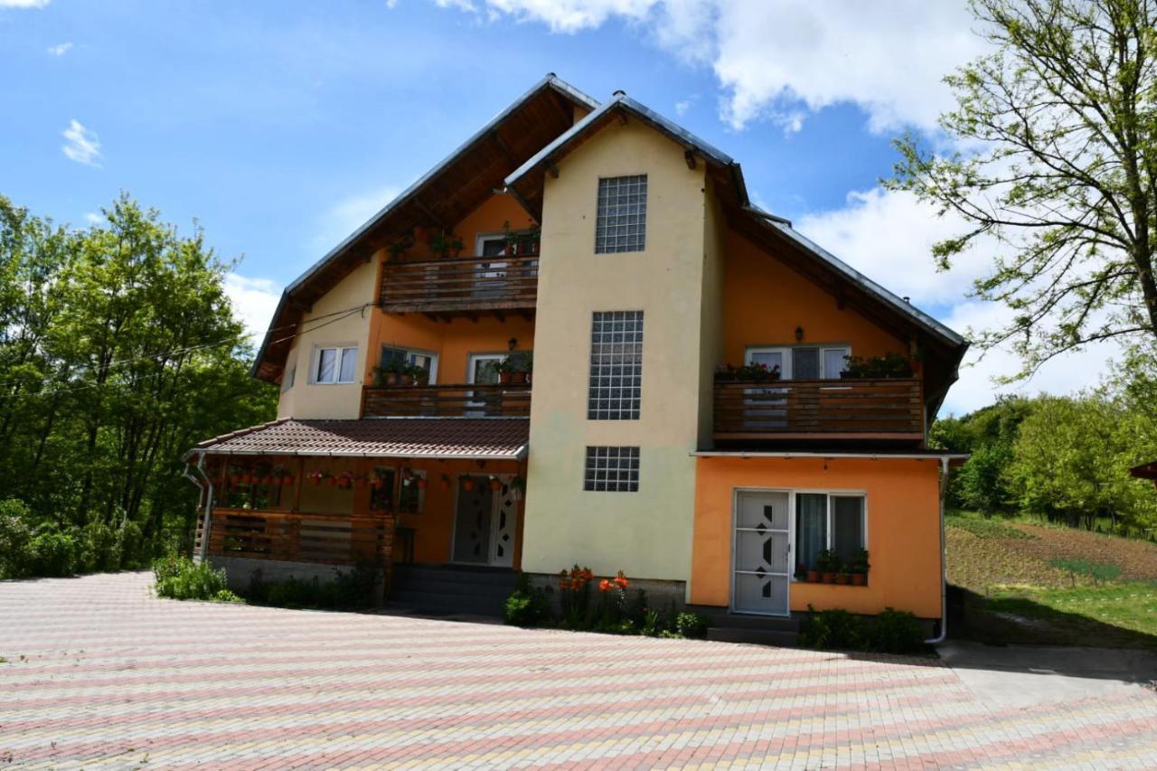 Pensiunea Valea Badilii Valea Iasului Exterior photo